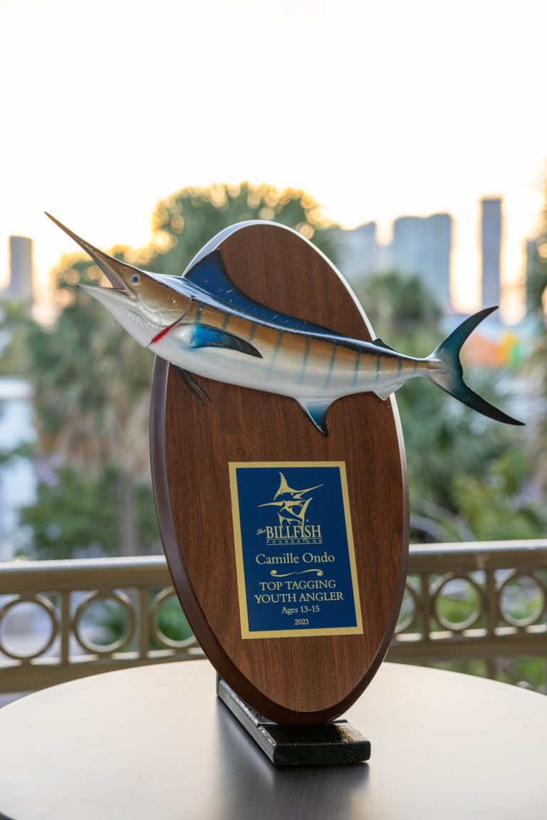 TBF's Annual Award Ceremony Recap!