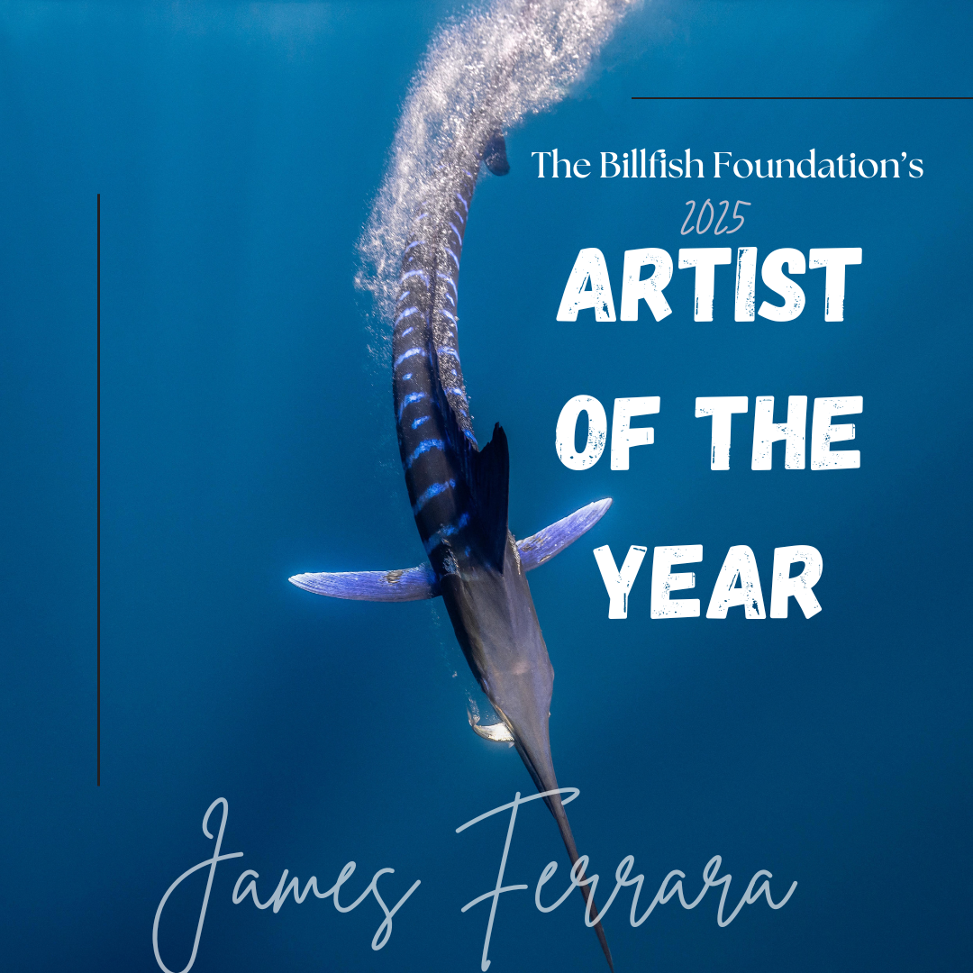James Ferrara: 2025 TBF Artist of the Year for Stunning Underwater  Photography, image size:1080x1080