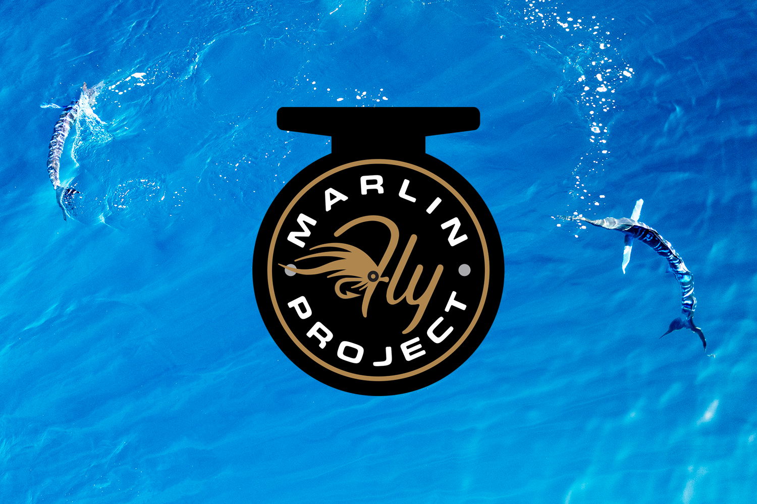 Marlin Fly 2.0 - The Billfish Foundation